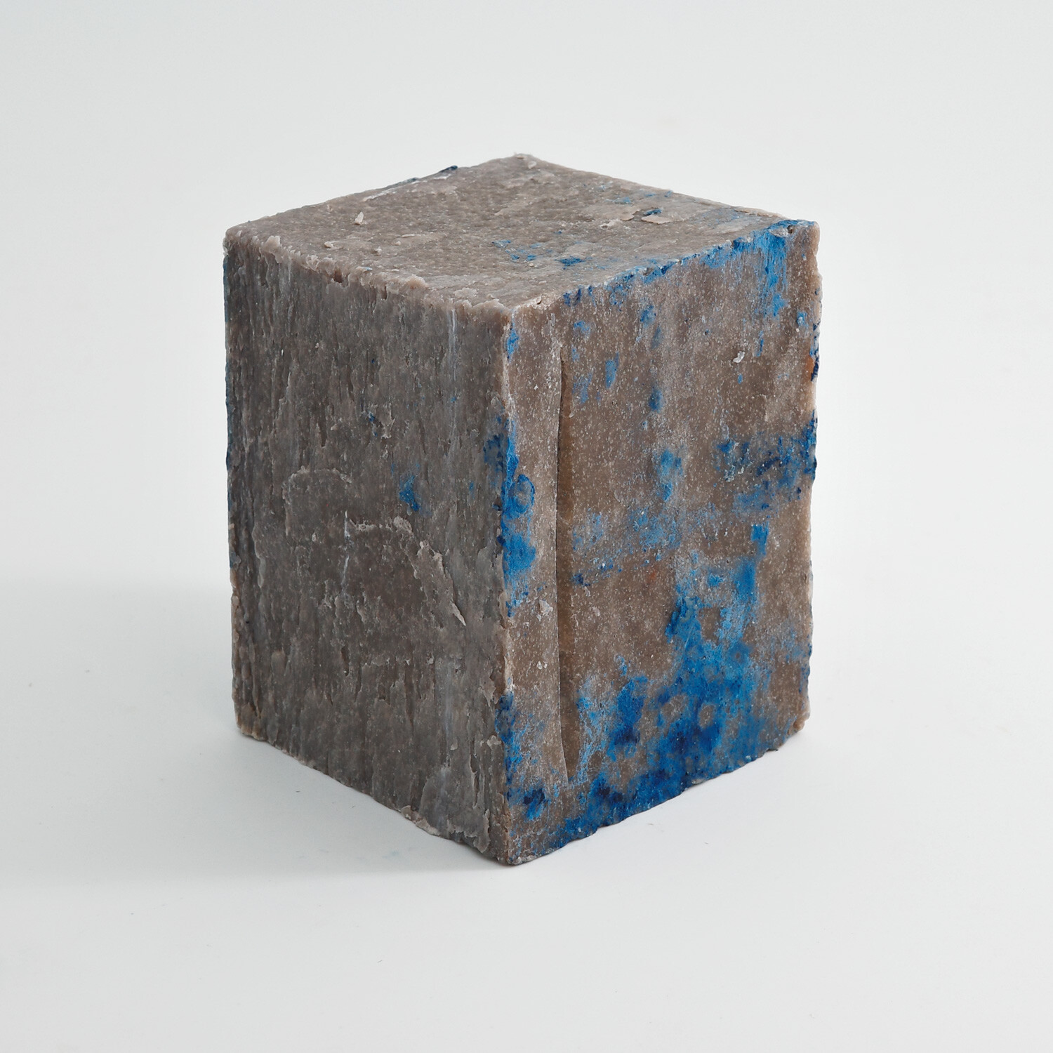 2551往日奇異野獸之一